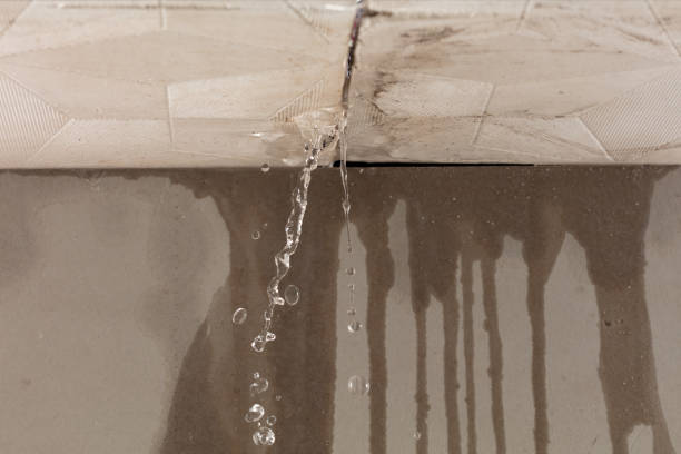 Professional Water Extraction technician working in Gardendale, TX